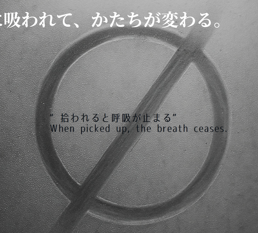 Window of Reflection