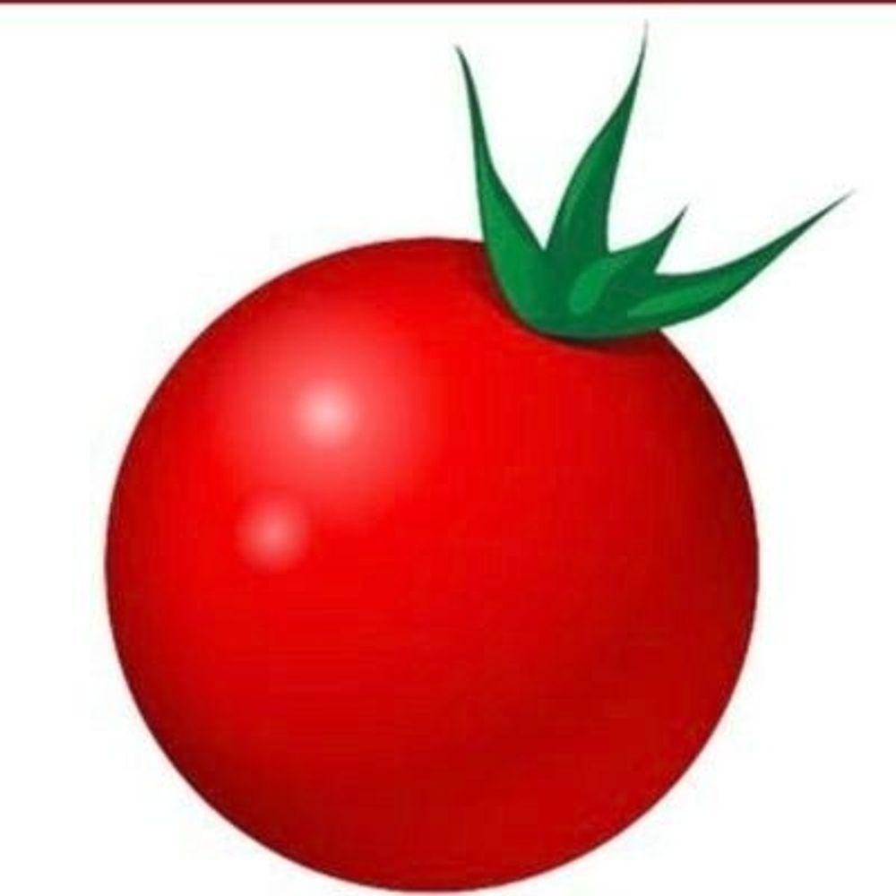Tomato
